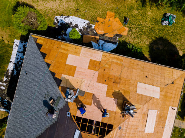 Best Commercial Roofing Services  in Talluh, LA