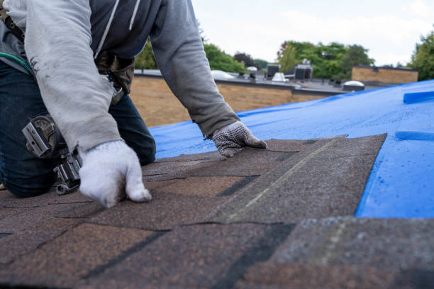Best Emergency Roof Repair  in Talluh, LA