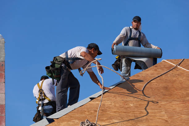 Best Best Roofing Contractors  in Talluh, LA