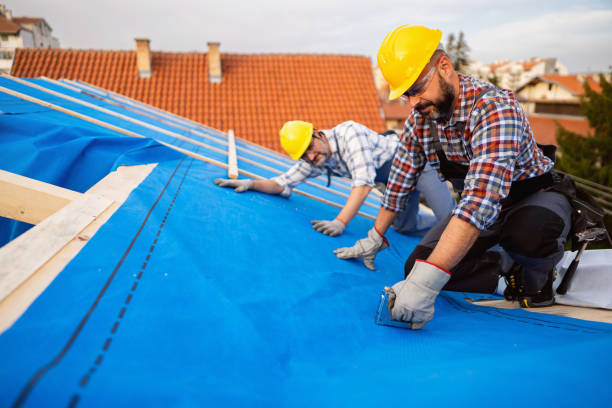 Best Flat Roof Repair Services  in Talluh, LA